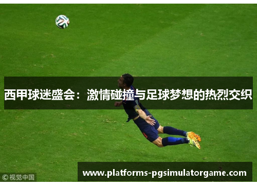 西甲球迷盛会：激情碰撞与足球梦想的热烈交织