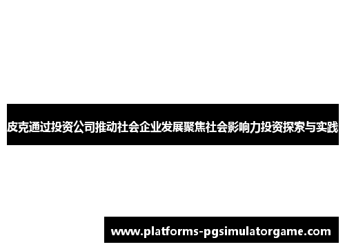 皮克通过投资公司推动社会企业发展聚焦社会影响力投资探索与实践