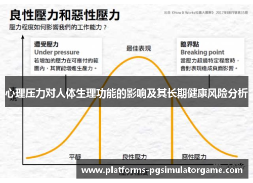 心理压力对人体生理功能的影响及其长期健康风险分析