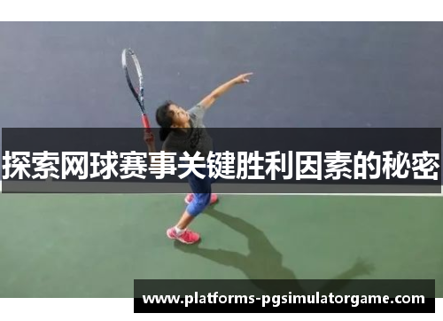 探索网球赛事关键胜利因素的秘密