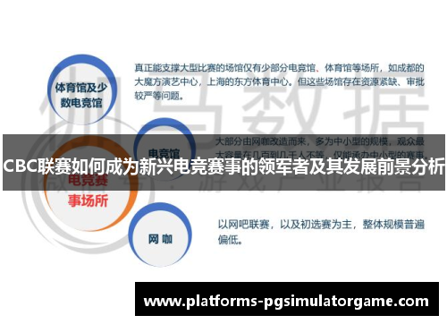 CBC联赛如何成为新兴电竞赛事的领军者及其发展前景分析