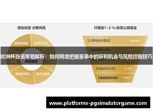 欧洲杯投资策略解析：如何精准把握赛事中的获利机会与风险控制技巧