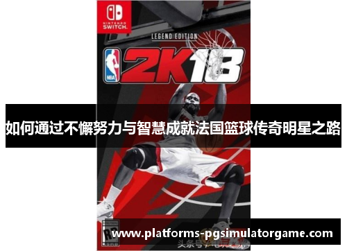 如何通过不懈努力与智慧成就法国篮球传奇明星之路