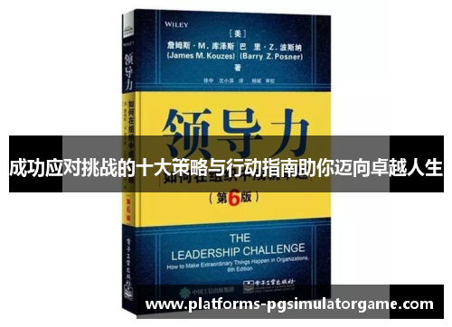 成功应对挑战的十大策略与行动指南助你迈向卓越人生