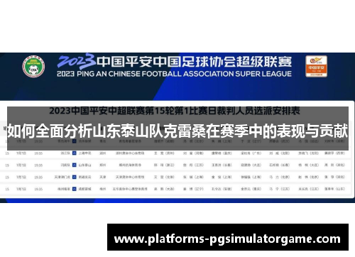 如何全面分析山东泰山队克雷桑在赛季中的表现与贡献