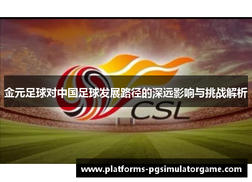 金元足球对中国足球发展路径的深远影响与挑战解析