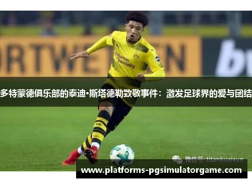 多特蒙德俱乐部的泰迪·斯塔德勒致敬事件：激发足球界的爱与团结