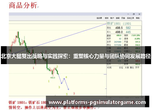 北京大腿复出战略与实践探索：重塑核心力量与团队协同发展路径