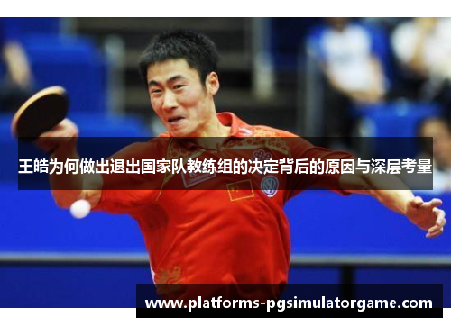 王皓为何做出退出国家队教练组的决定背后的原因与深层考量