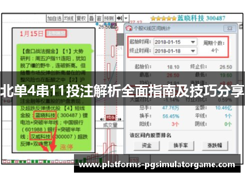 北单4串11投注解析全面指南及技巧分享