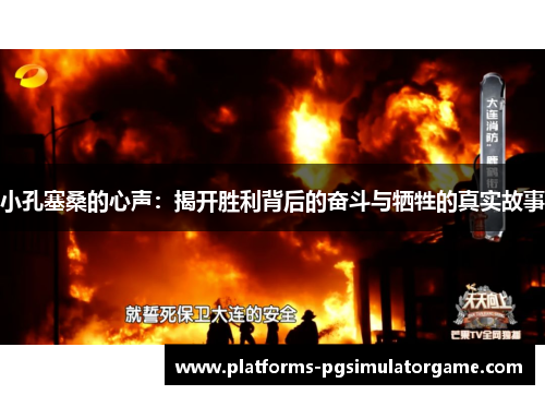 小孔塞桑的心声：揭开胜利背后的奋斗与牺牲的真实故事