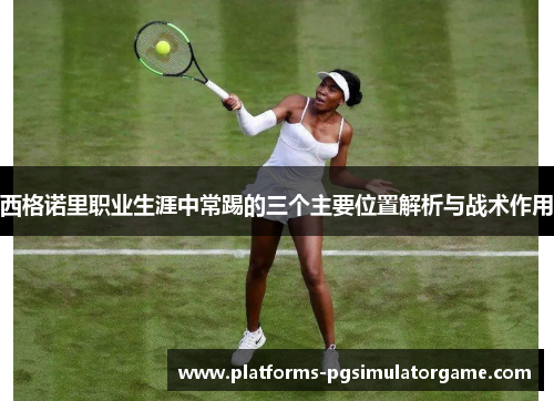 西格诺里职业生涯中常踢的三个主要位置解析与战术作用