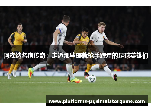 阿森纳名宿传奇：走近那些铸就枪手辉煌的足球英雄们