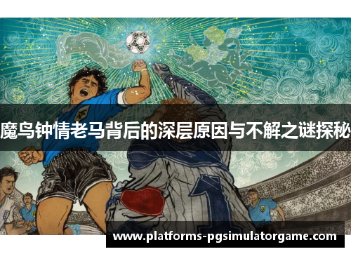 魔鸟钟情老马背后的深层原因与不解之谜探秘