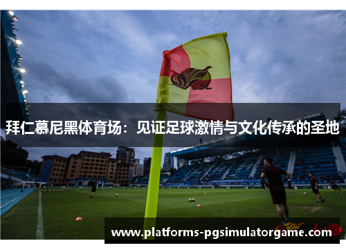 拜仁慕尼黑体育场：见证足球激情与文化传承的圣地