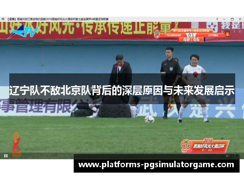 辽宁队不敌北京队背后的深层原因与未来发展启示