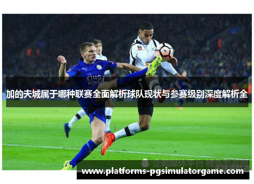 加的夫城属于哪种联赛全面解析球队现状与参赛级别深度解析全 加的夫城属于哪种联赛全面解析球队现状与参赛级别深度解析全