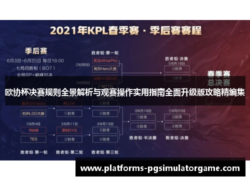 欧协杯决赛规则全景解析与观赛操作实用指南全面升级版攻略精编集 欧协杯决赛规则全景解析与观赛操作实用指南全面升级版攻略精编集