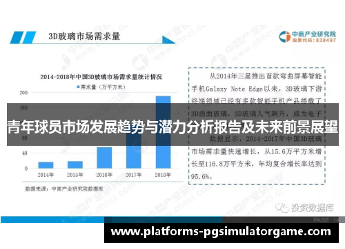 青年球员市场发展趋势与潜力分析报告及未来前景展望 青年球员市场发展趋势与潜力分析报告及未来前景展望