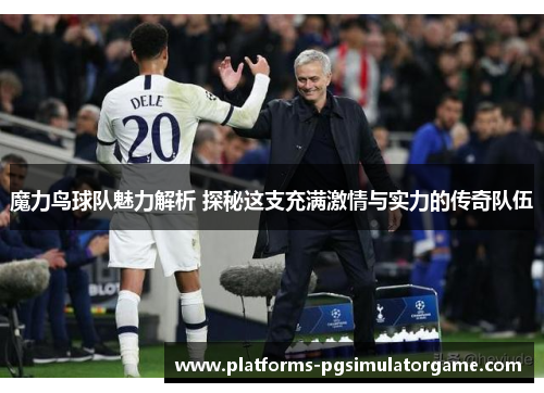 魔力鸟球队魅力解析 探秘这支充满激情与实力的传奇队伍