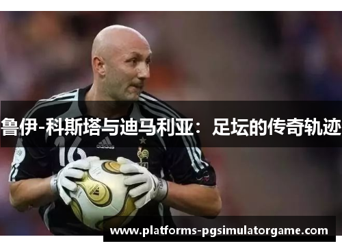 鲁伊-科斯塔与迪马利亚：足坛的传奇轨迹