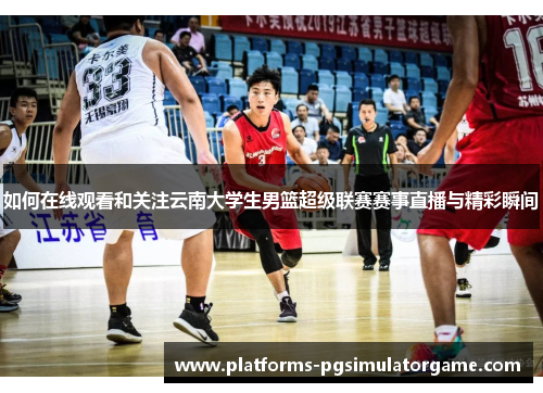 如何在线观看和关注云南大学生男篮超级联赛赛事直播与精彩瞬间