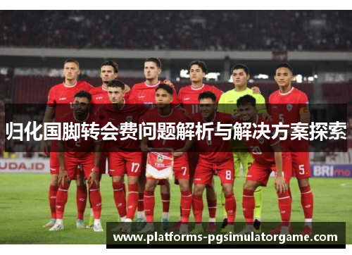 归化国脚转会费问题解析与解决方案探索