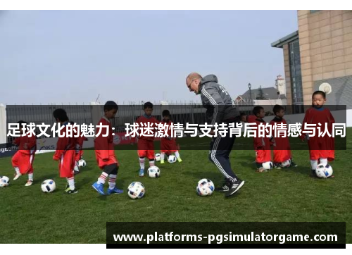 足球文化的魅力：球迷激情与支持背后的情感与认同
