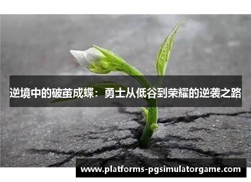 逆境中的破茧成蝶：勇士从低谷到荣耀的逆袭之路