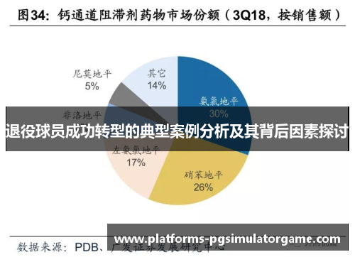 退役球员成功转型的典型案例分析及其背后因素探讨