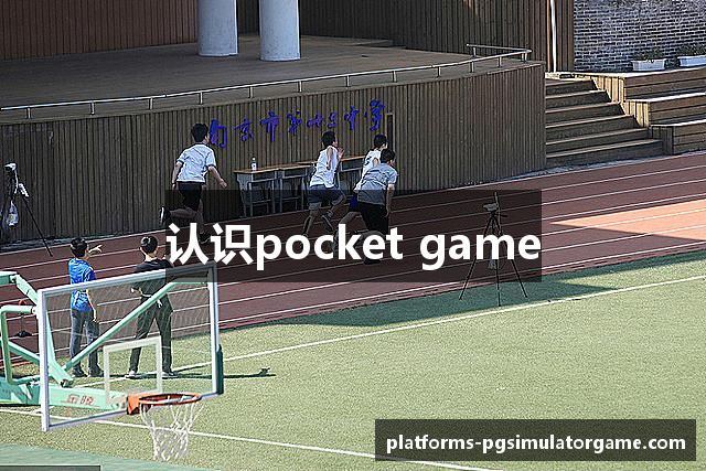 认识pocket game